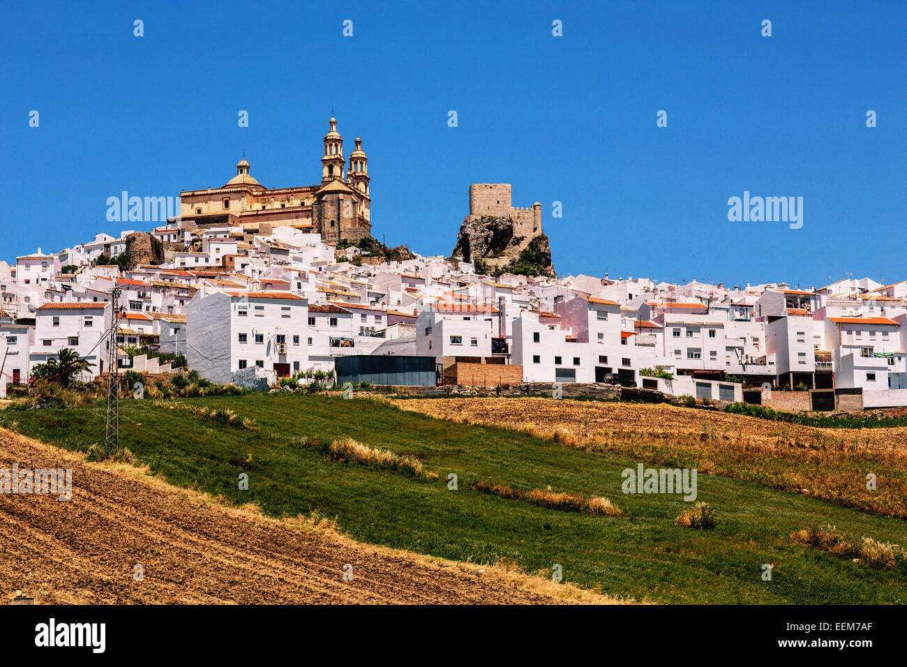 Spagna, Andalusia, Pueblos Blancos, Vista della città bianca e campi in primo piano Foto Stock