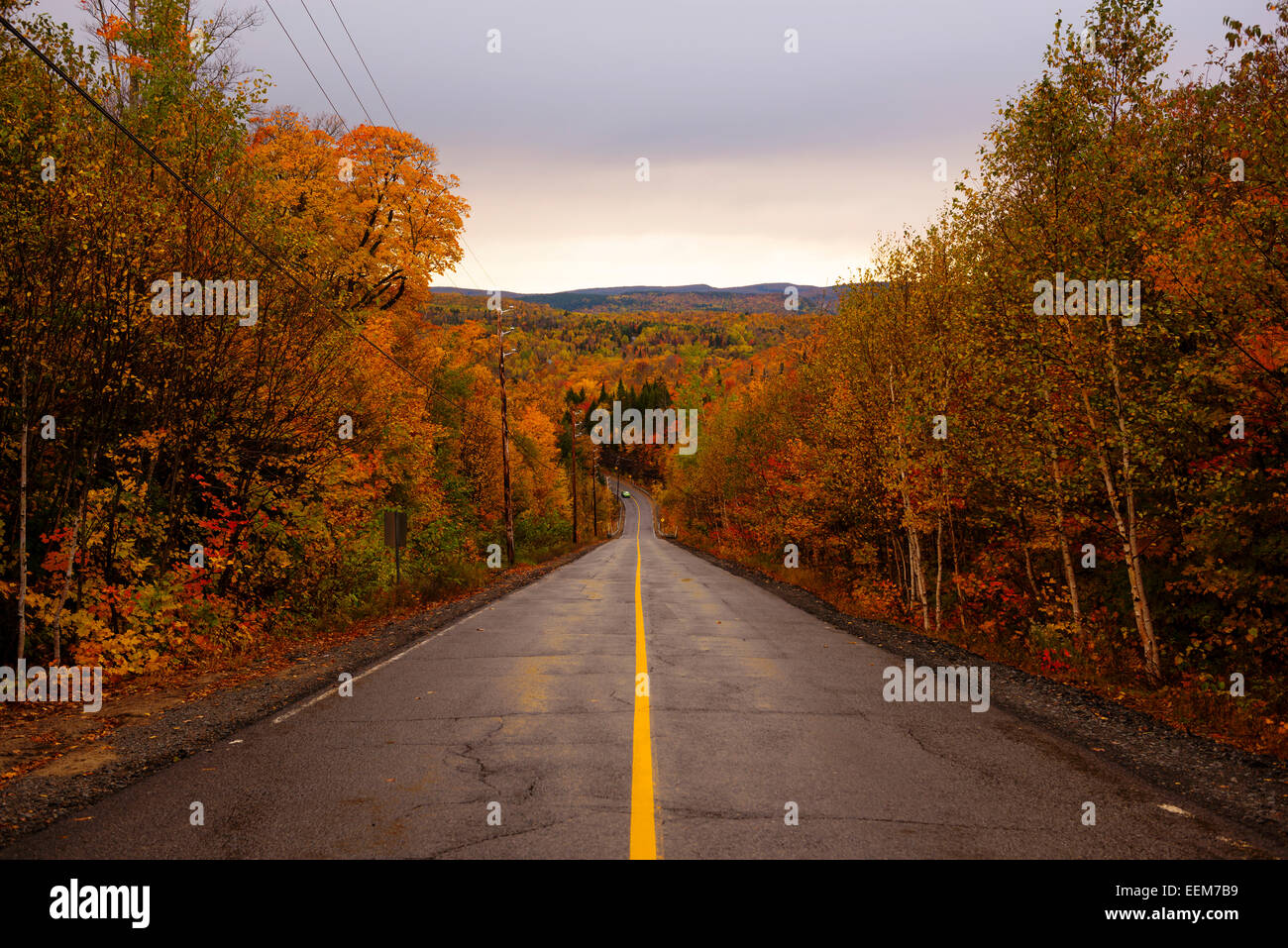 Canada Quebec, vista simmetrici di strada con la linea gialla singola e alberi autunnali sui lati Foto Stock