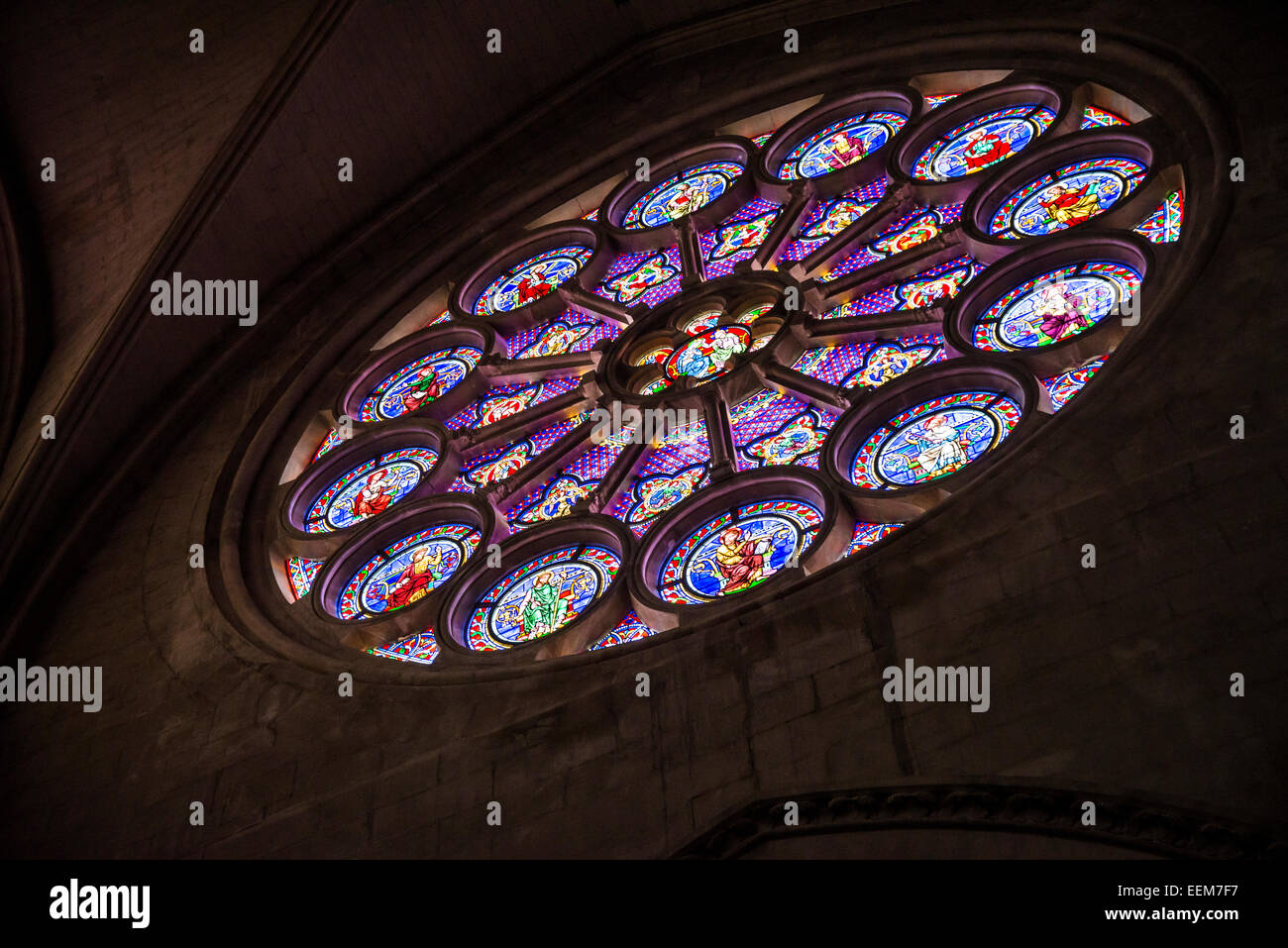 Finestra di rose, Cattedrale di Saint Pierre, Montpellier, Francia Foto Stock