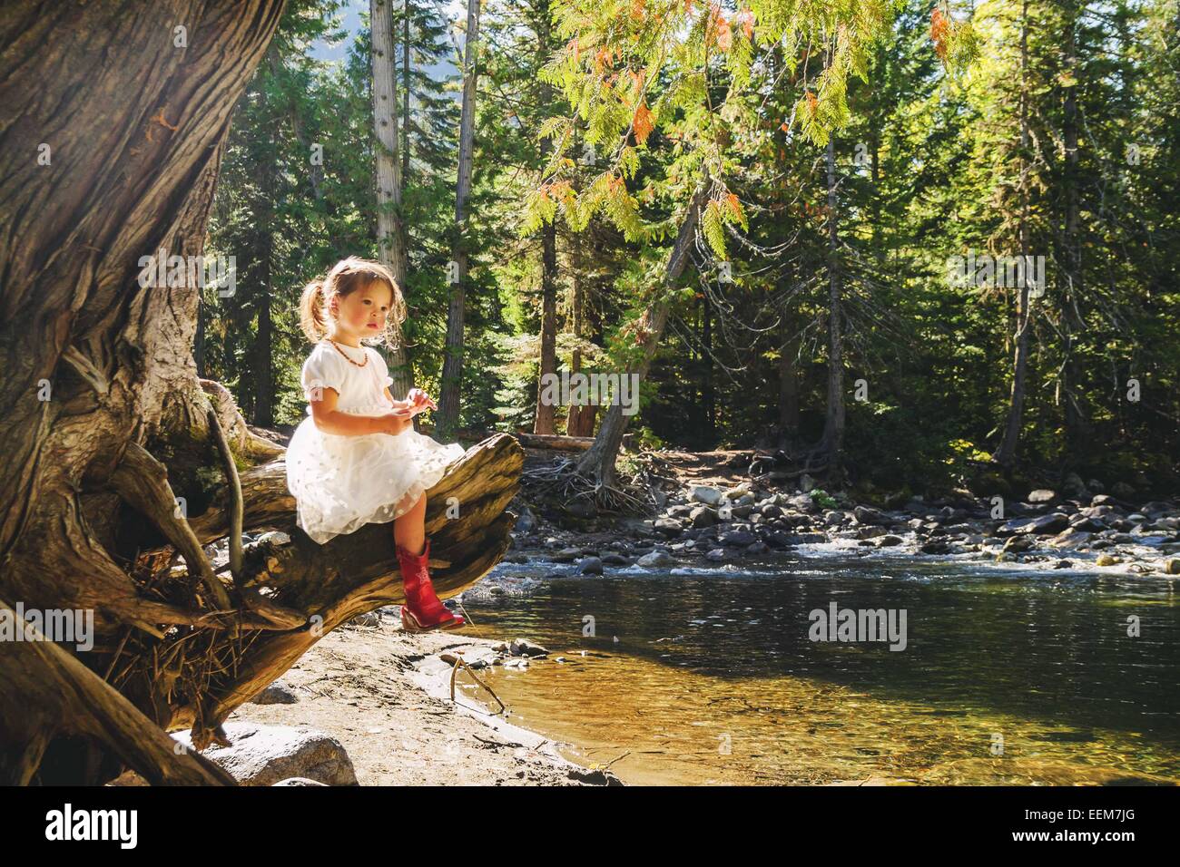 Ragazza seduta su un ramo da un fiume, Stati Uniti Foto Stock