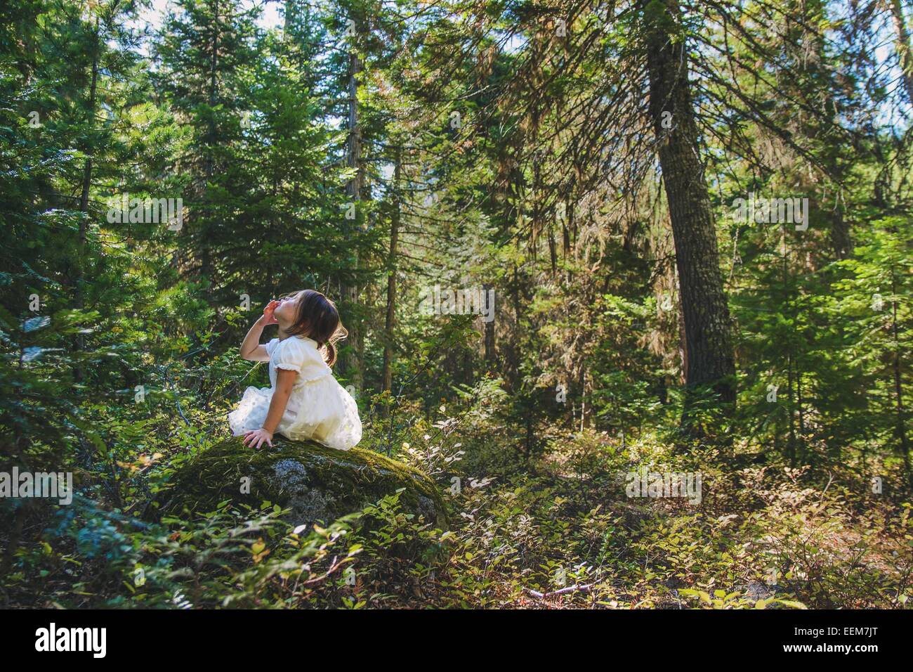 Ragazza seduta su una roccia nella foresta, Stati Uniti Foto Stock