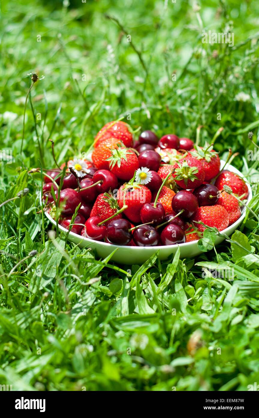 Coppa di fragole e ciliege decorato con margherite di erba Foto Stock