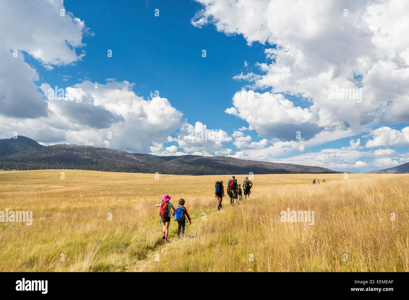 Bambini caucasici camminando nel campo erboso nel paesaggio remoto Foto Stock