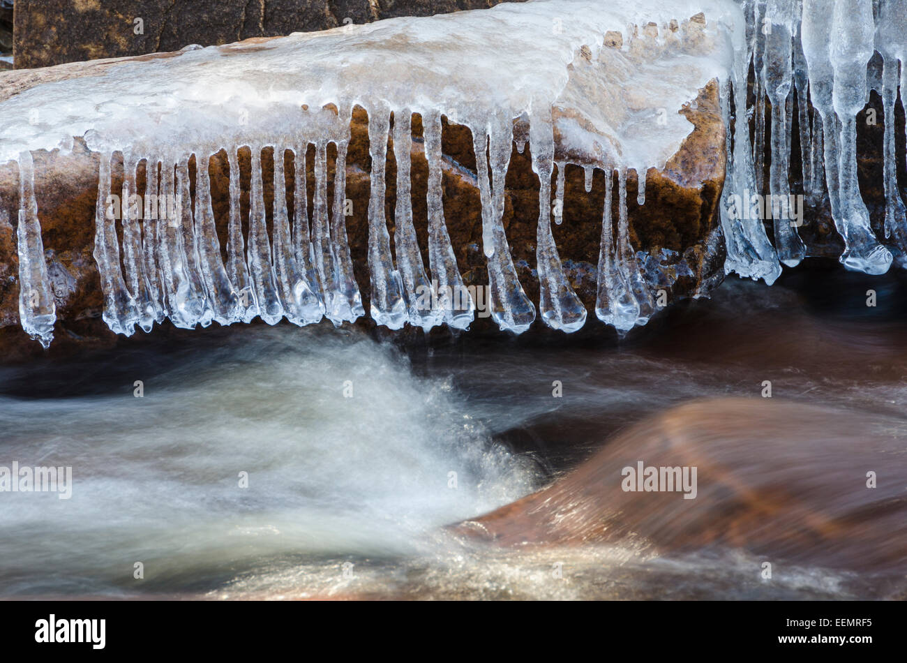 Un Eisformationen einem Bach, Finnskogen, Hedmark Fylke, Norwegen, Aprile 2012 Foto Stock