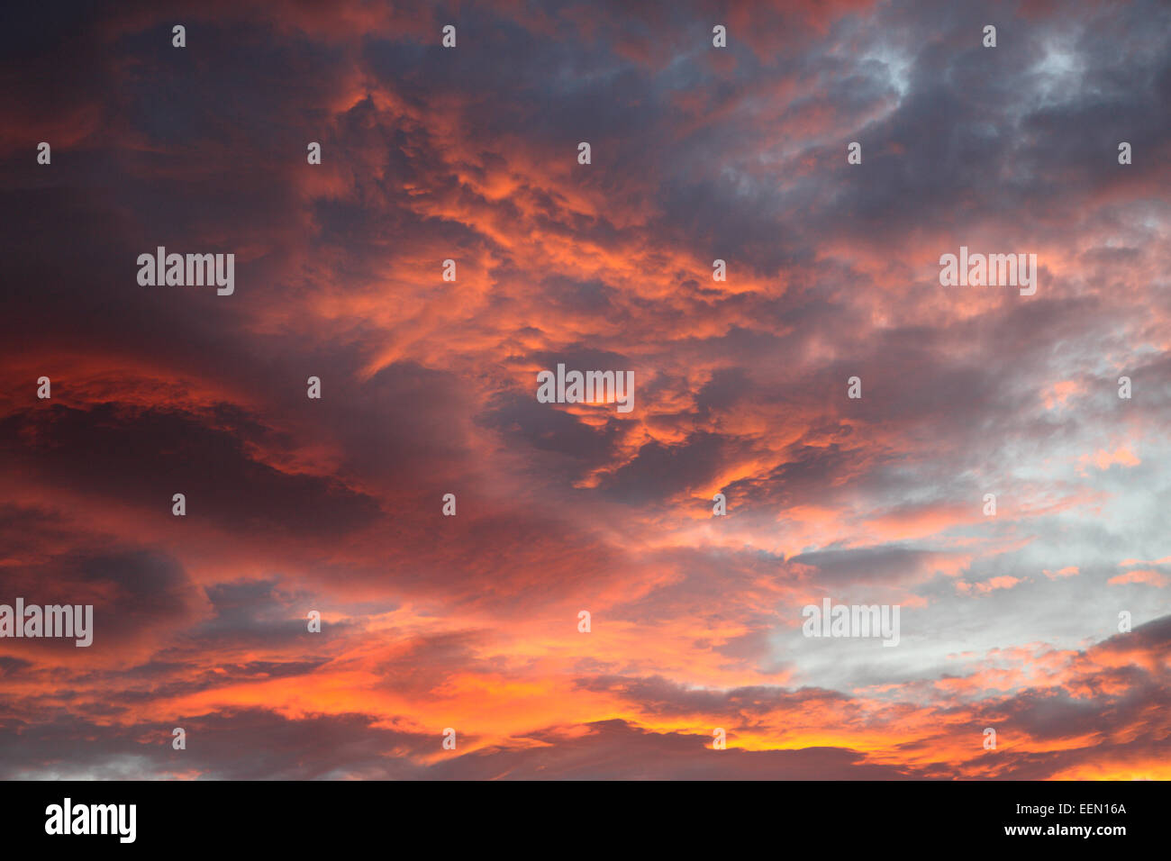 Nubi accese sotto dal tramonto su Willaston Village Wirral CHESHIRE REGNO UNITO Settembre 2208 Foto Stock