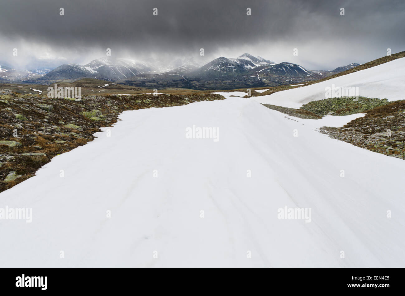 Schneeschauer ueber dem Nationalpark Rondane, Hedmark Fylke, Norwegen, Mai 2011 Foto Stock
