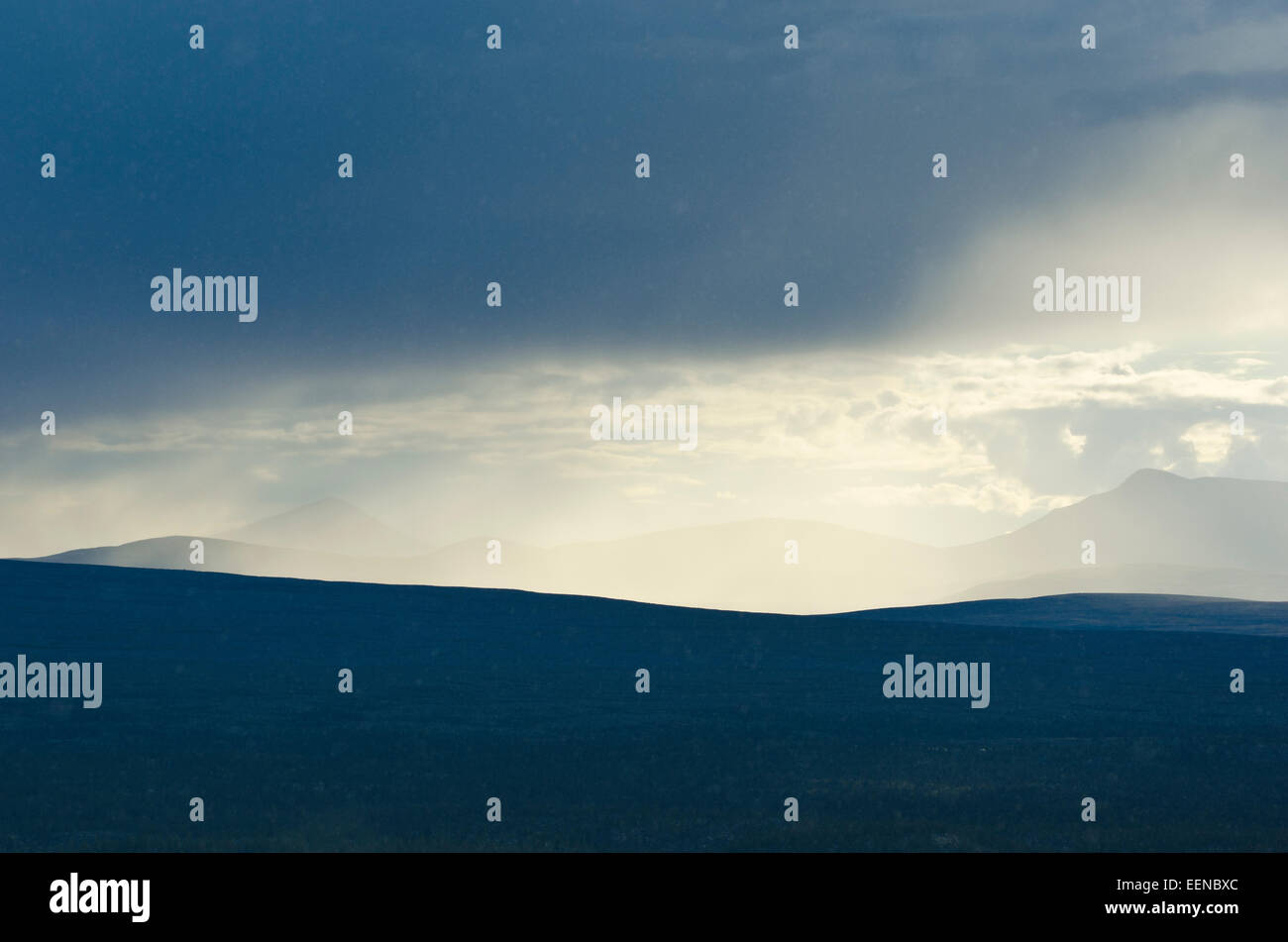 Regenschauer, Femundsmarka Nationalpark, Hedmark Fylke, Norvegia, Agosto Foto Stock