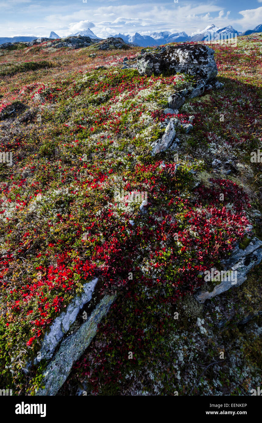 Herbstliche Landschaft, Romsdalen, Moere und Romsdal Fylke, Vestland, Norwegen, Settembre 2011 Foto Stock