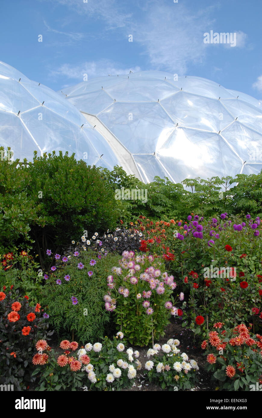 Eden Project, Cornwall, Regno Unito. La piantagione di fronte al Mediterraneo Biome. Foto Stock