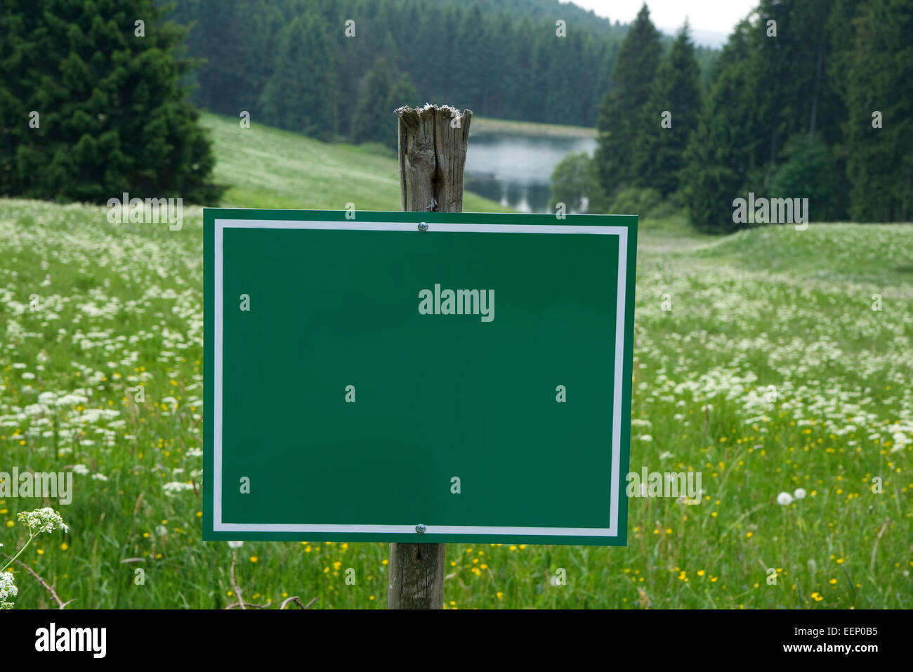 Pascoli di montagna con il segno verde. Spazio di copia Foto Stock