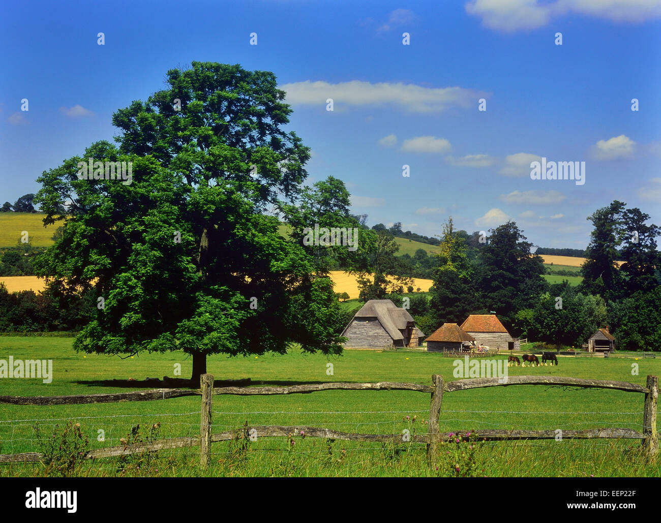 Weald and Downland museo vivente. South Downs. West Sussex. In Inghilterra. Foto Stock