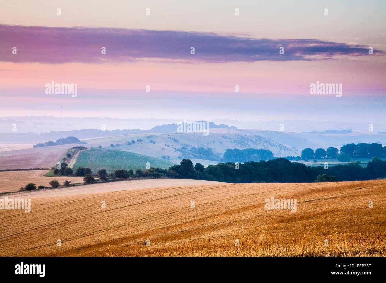 A Midsummer alba vista sui bassi di Marlborough nel Wiltshire da Liddington Hill. Foto Stock