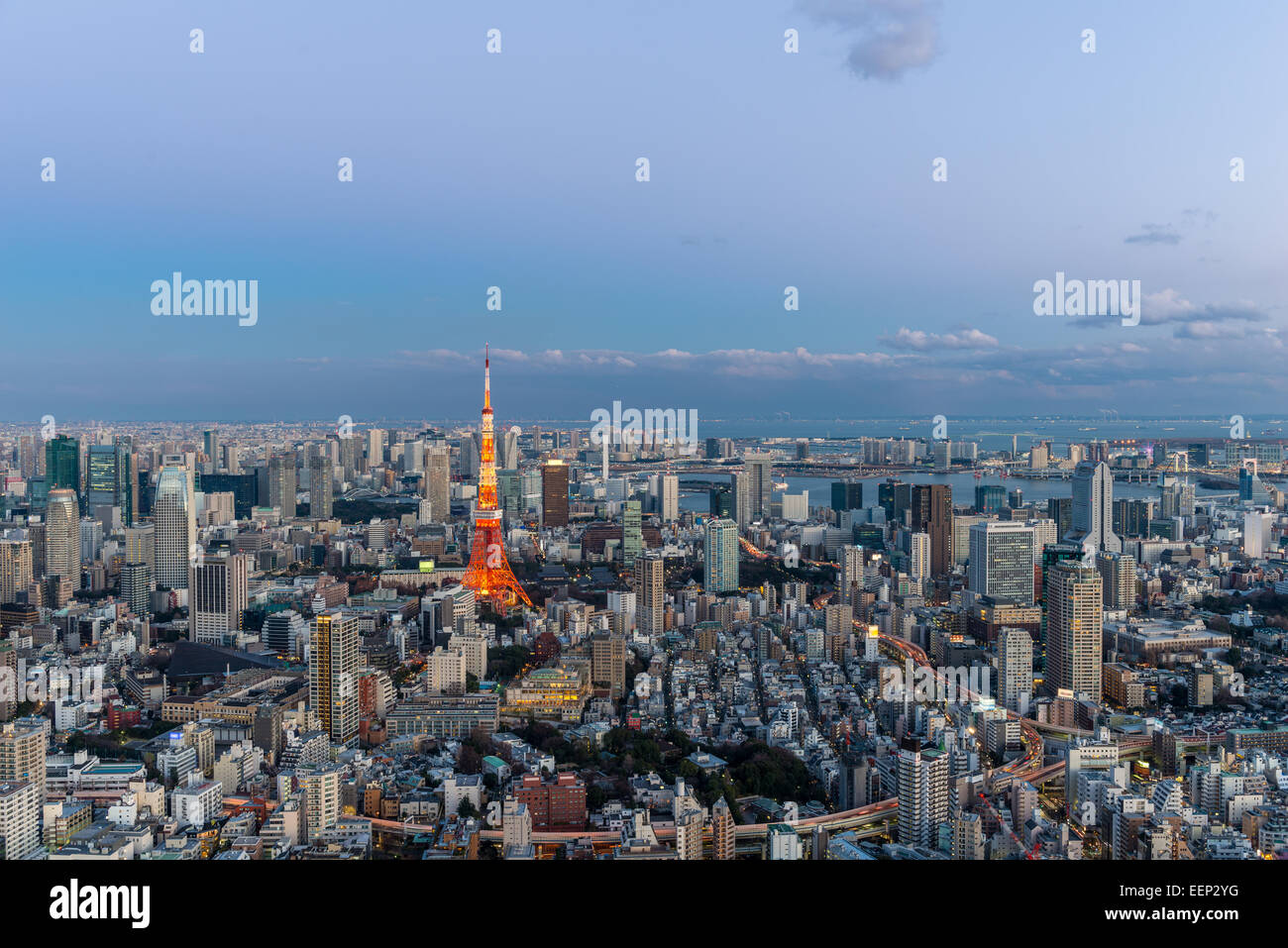La Torre di Tokyo si distingue tra il paesaggio urbano di Tokyo come approcci di sera. Foto Stock