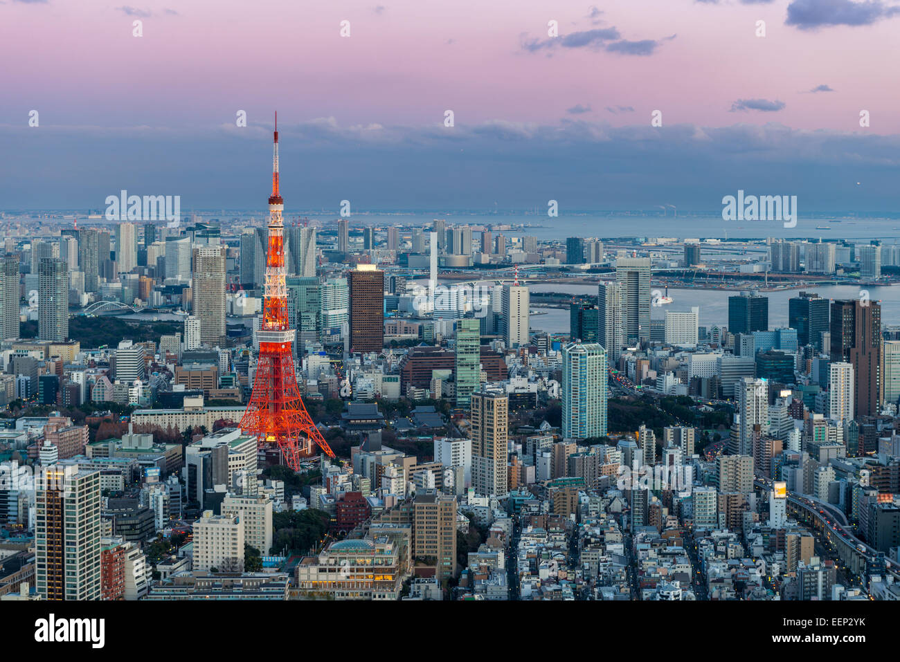 La Torre di Tokyo si distingue tra il paesaggio urbano di Tokyo come approcci di sera. Foto Stock