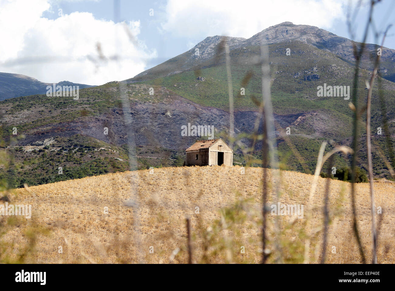 Vecchi pastori cottage Patrimonio Corsica Foto Stock