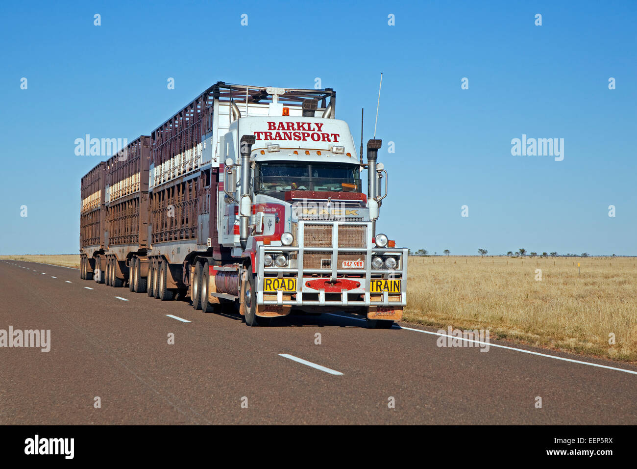 Il trasporto dei bovini da triple Road train dotato di roo bar sull'autostrada Barkly, Territorio del Nord, l'Australia Foto Stock