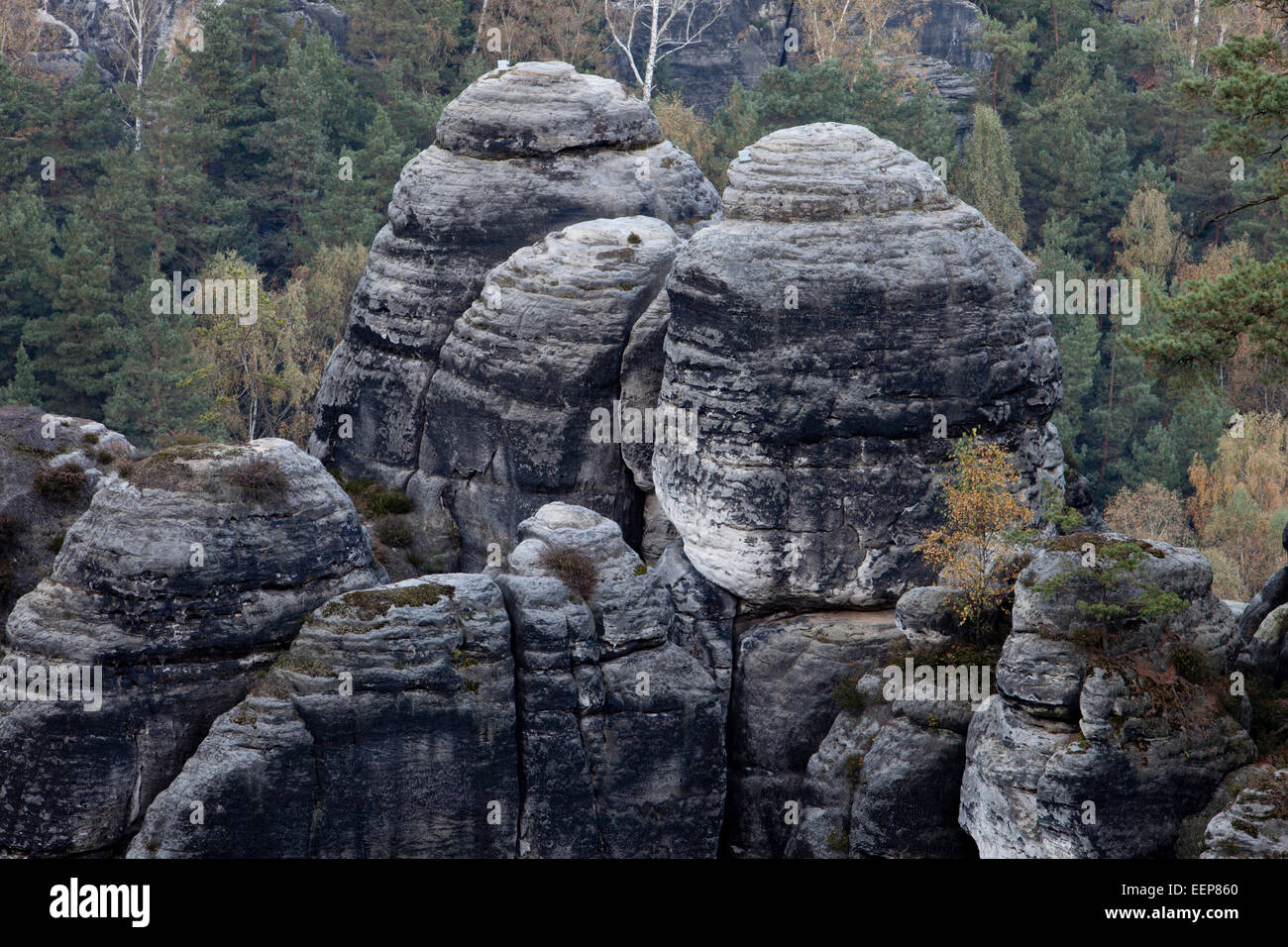 Elba montagne di arenaria, Svizzera Sassone, Meclemburgo-Pomerania Occidentale, Germania, Svizzera Sassone, Sächsische Schweiz Foto Stock