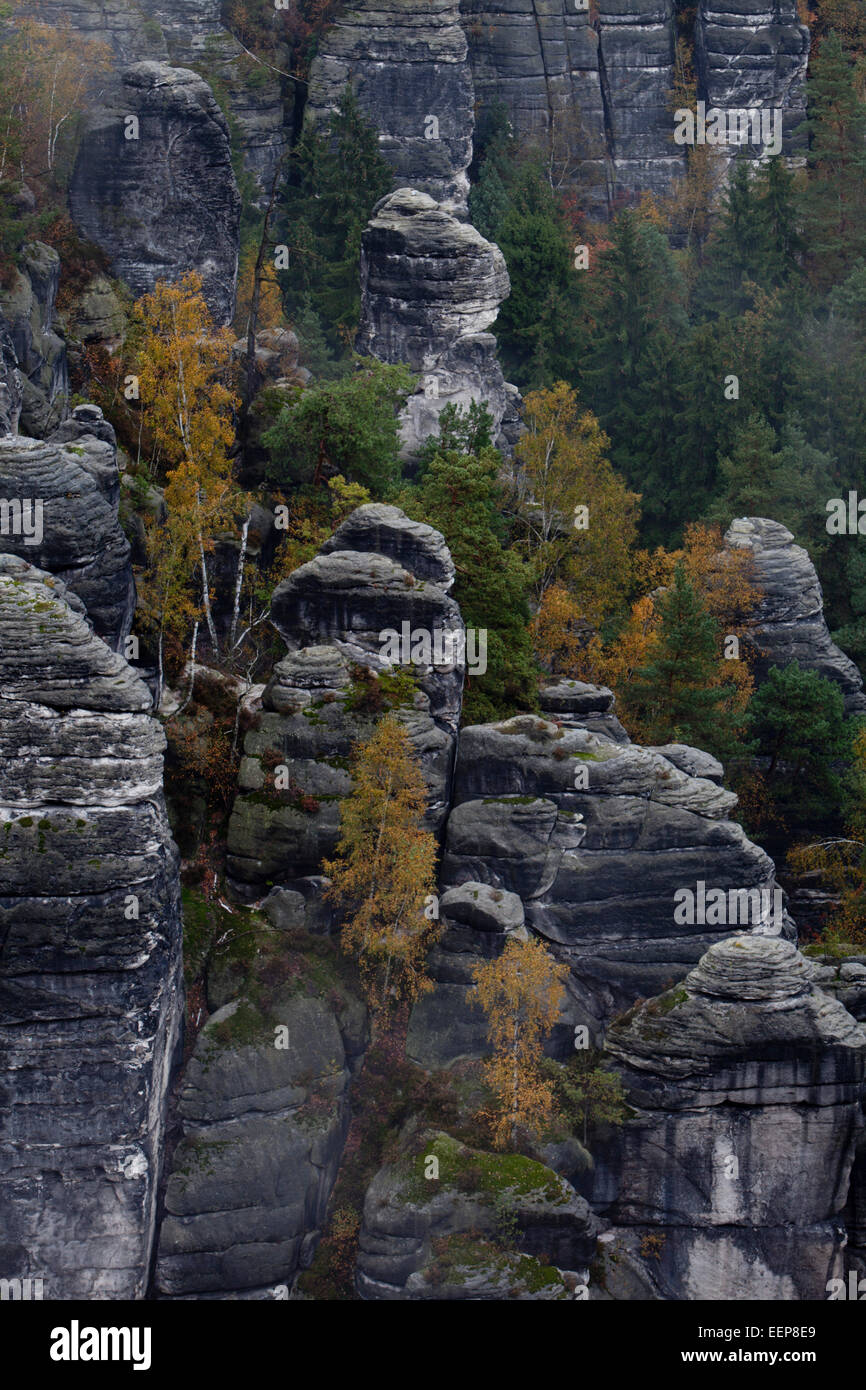 Elba montagne di arenaria, Svizzera Sassone, Meclemburgo-Pomerania Occidentale, Germania, Svizzera Sassone, Sächsische Schweiz Foto Stock