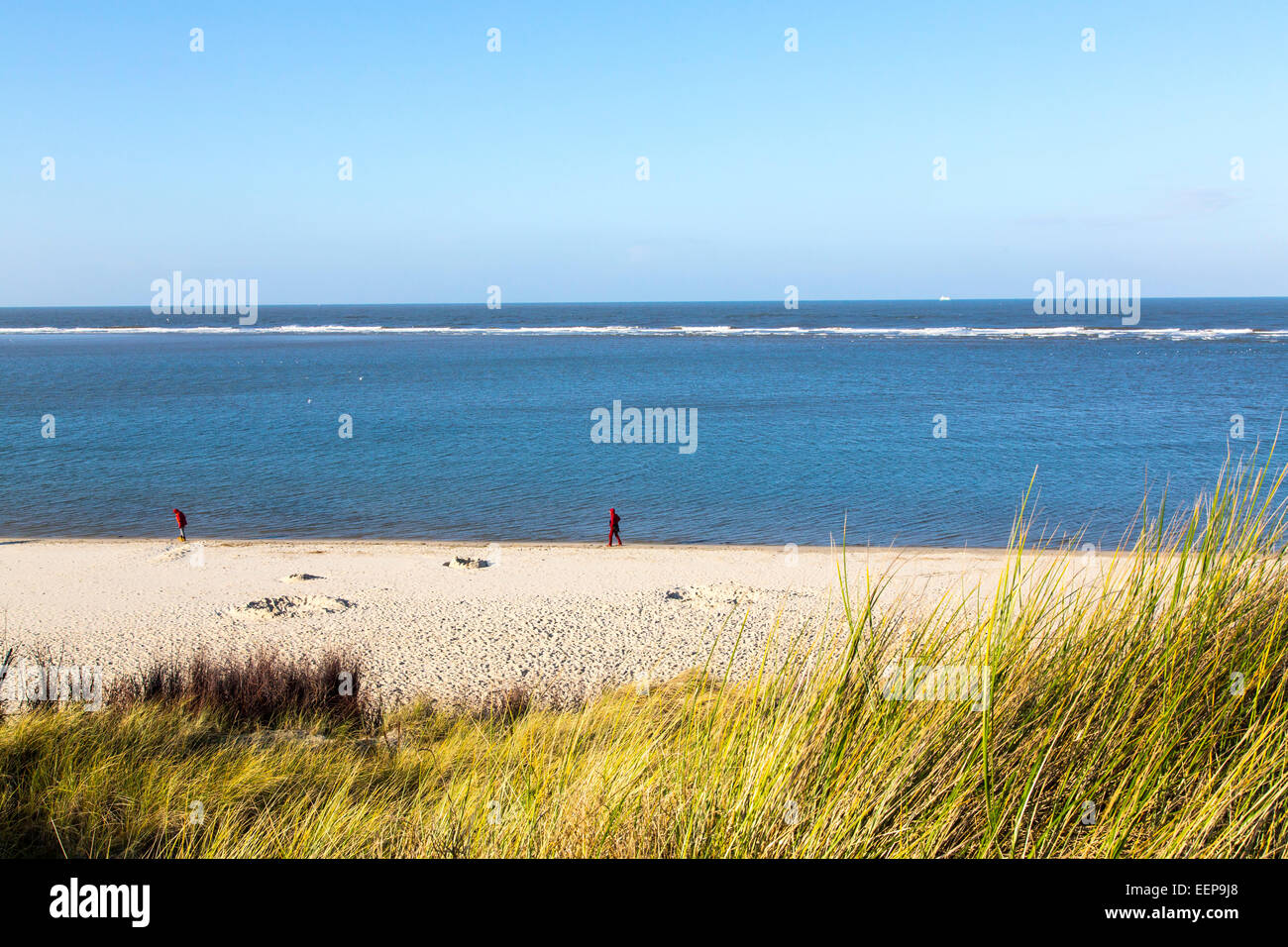 Nel mare del Nord tedesco isola Spiekeroog, west coast beach, dune, Foto Stock