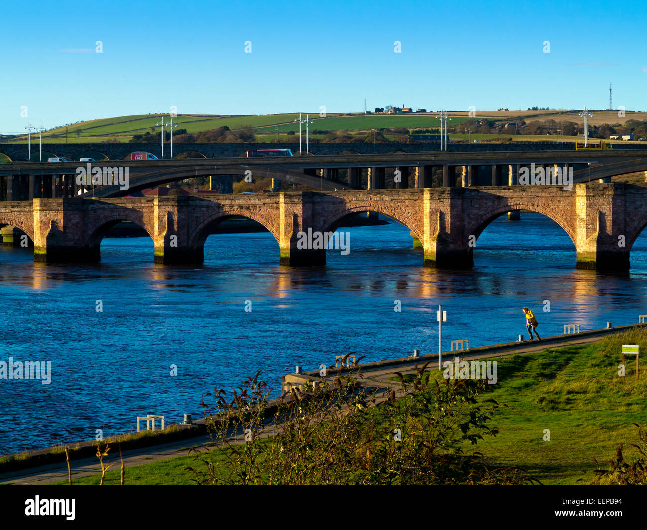 Il Ponte Vecchio e i Royal Tweed Bridge e Royal Border ponte sopra il fiume Tweed a Berwick Upon Tweed Northumberland REGNO UNITO Foto Stock