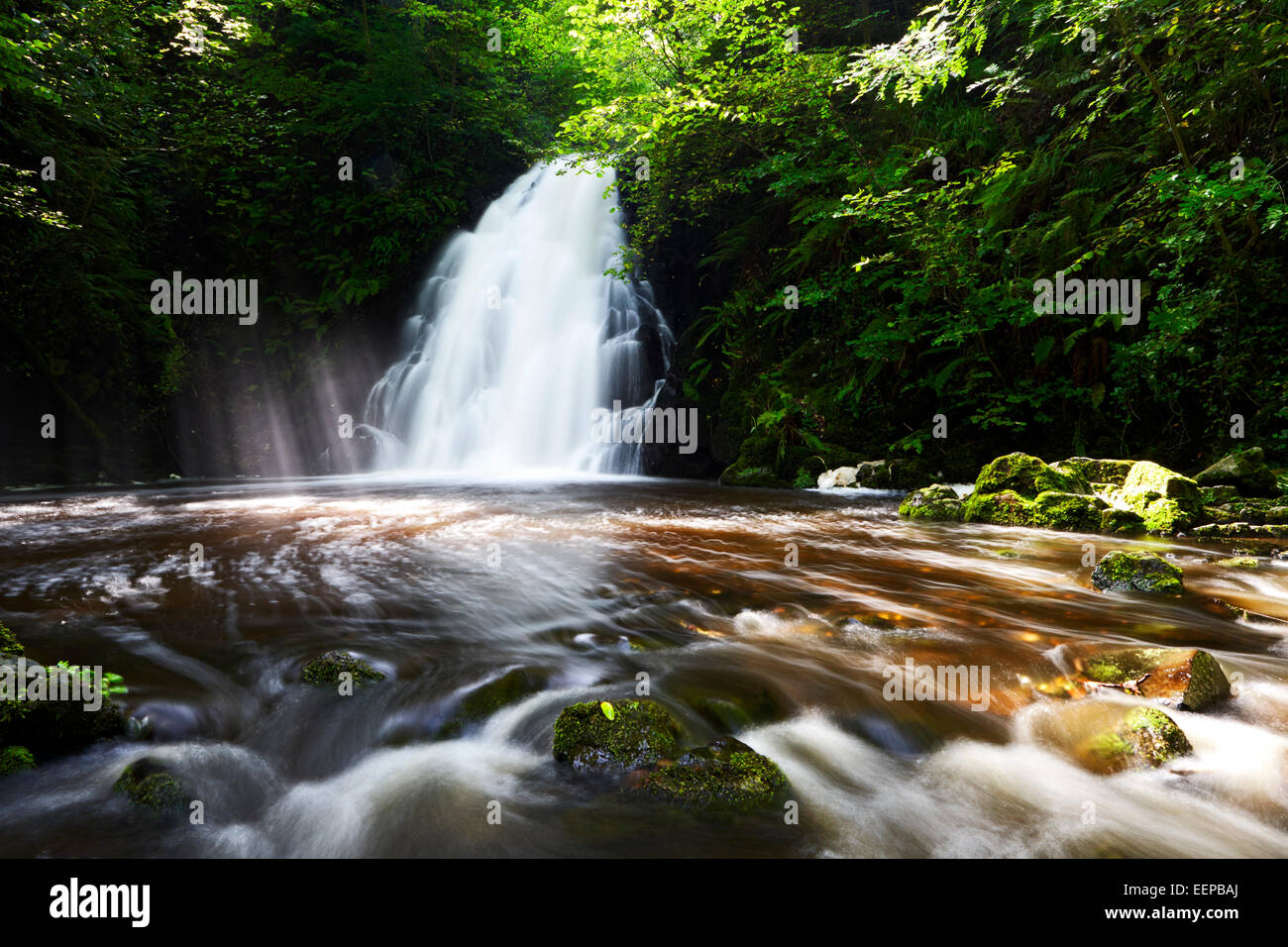 Cascata glenoe nella contea di Antrim in Irlanda Foto Stock