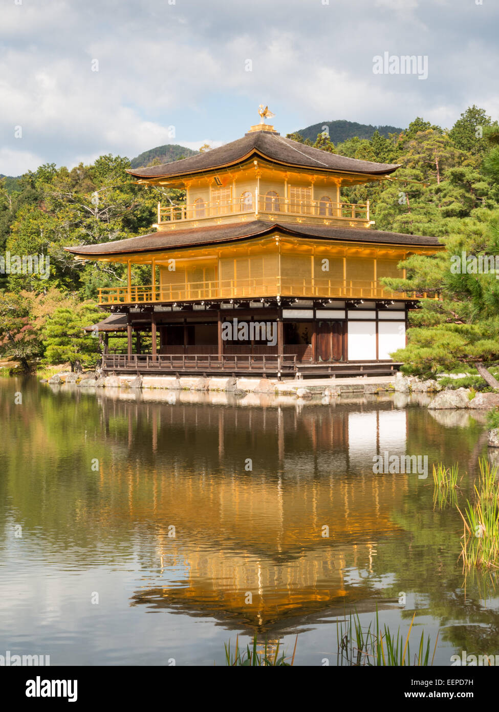 Il Padiglione Dorato riflesso nell'acqua del lago, Kinkaku-ji in Kyoto Foto Stock
