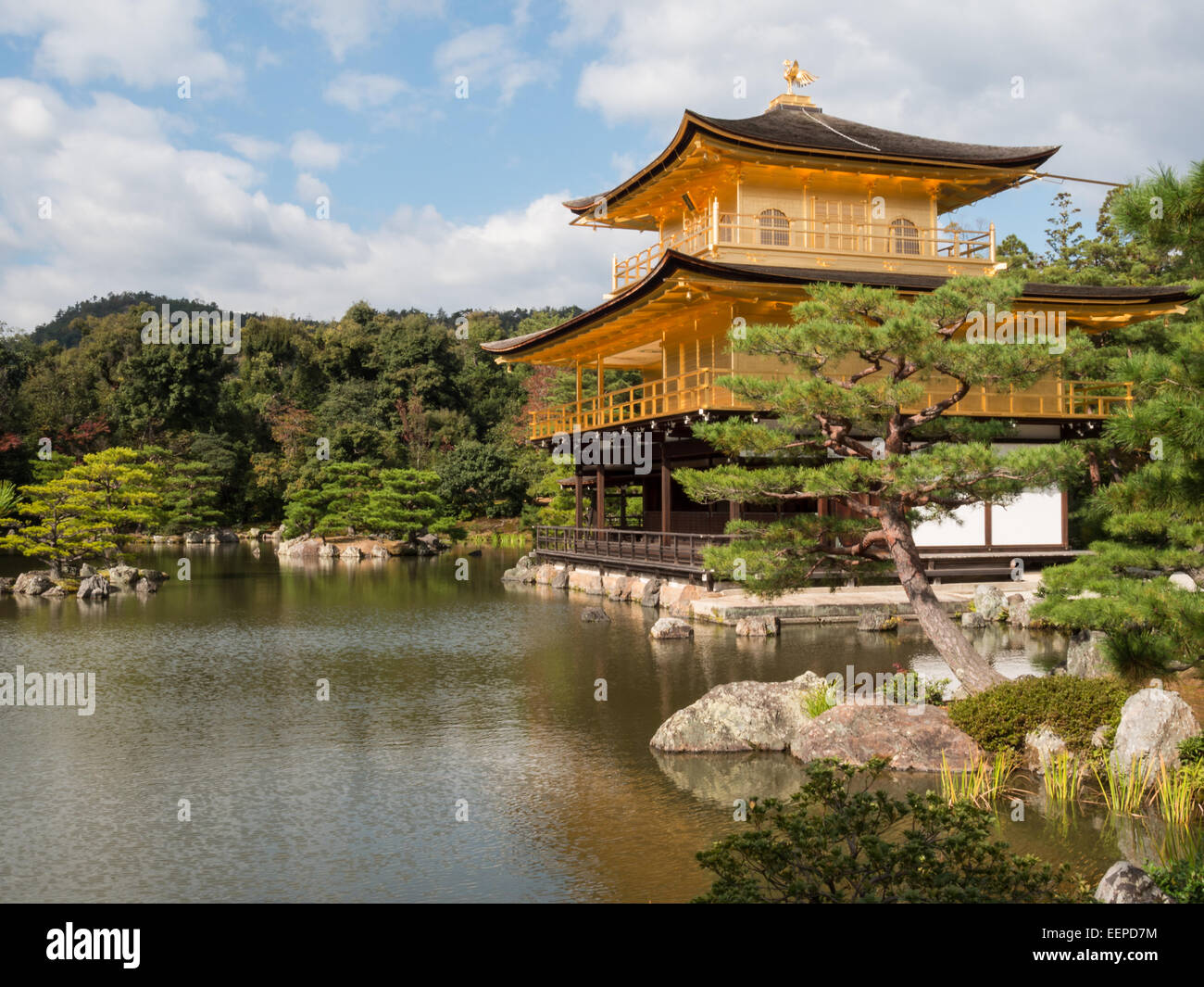 Il Padiglione Dorato dal lago a Kinkaku-ji, Kyoto Foto Stock