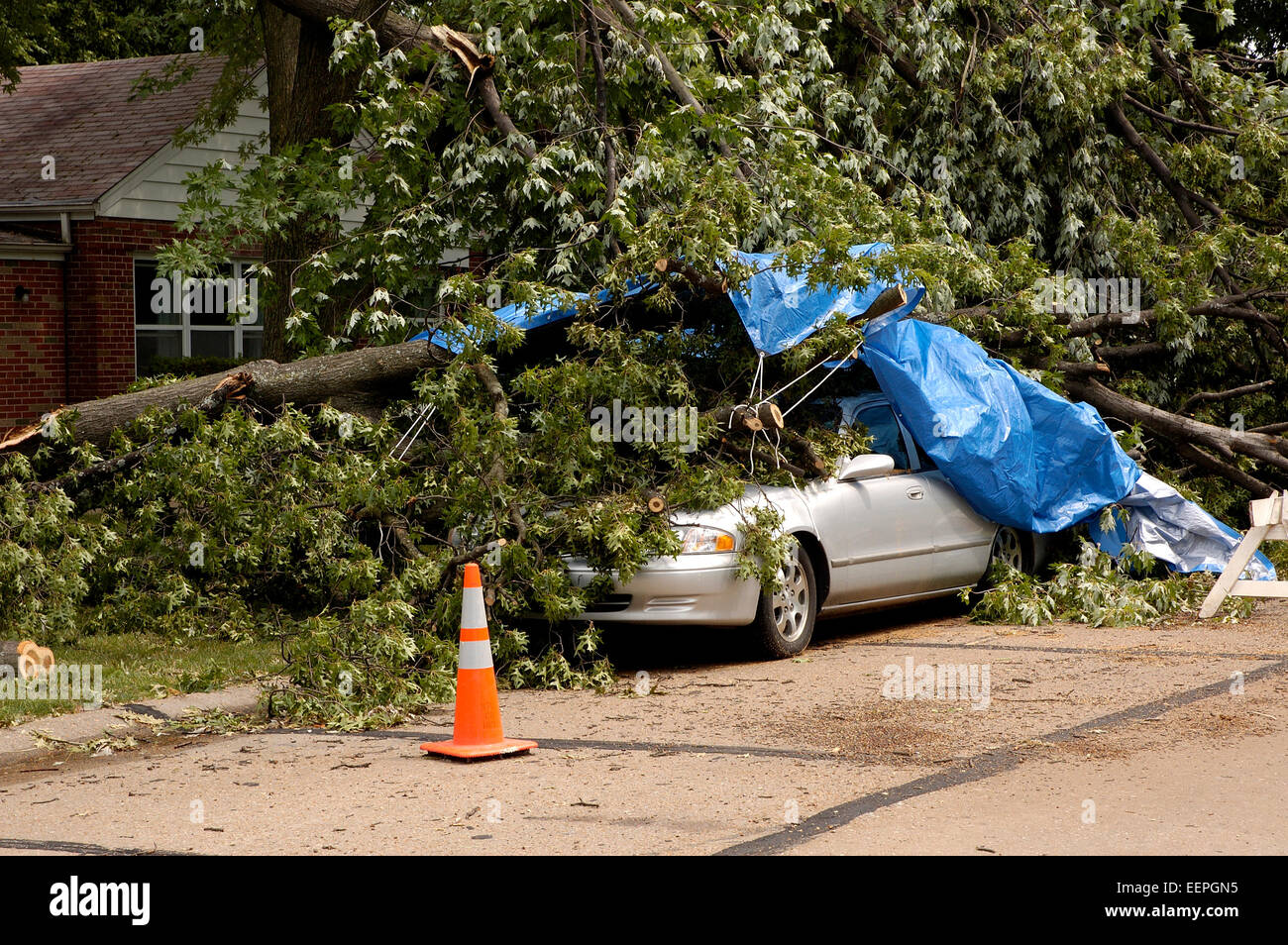 Una scena che è una tempesta con venti alti ha inviato un tronco di albero giù dal precipizio su una vettura, su una strada residenziale Foto Stock