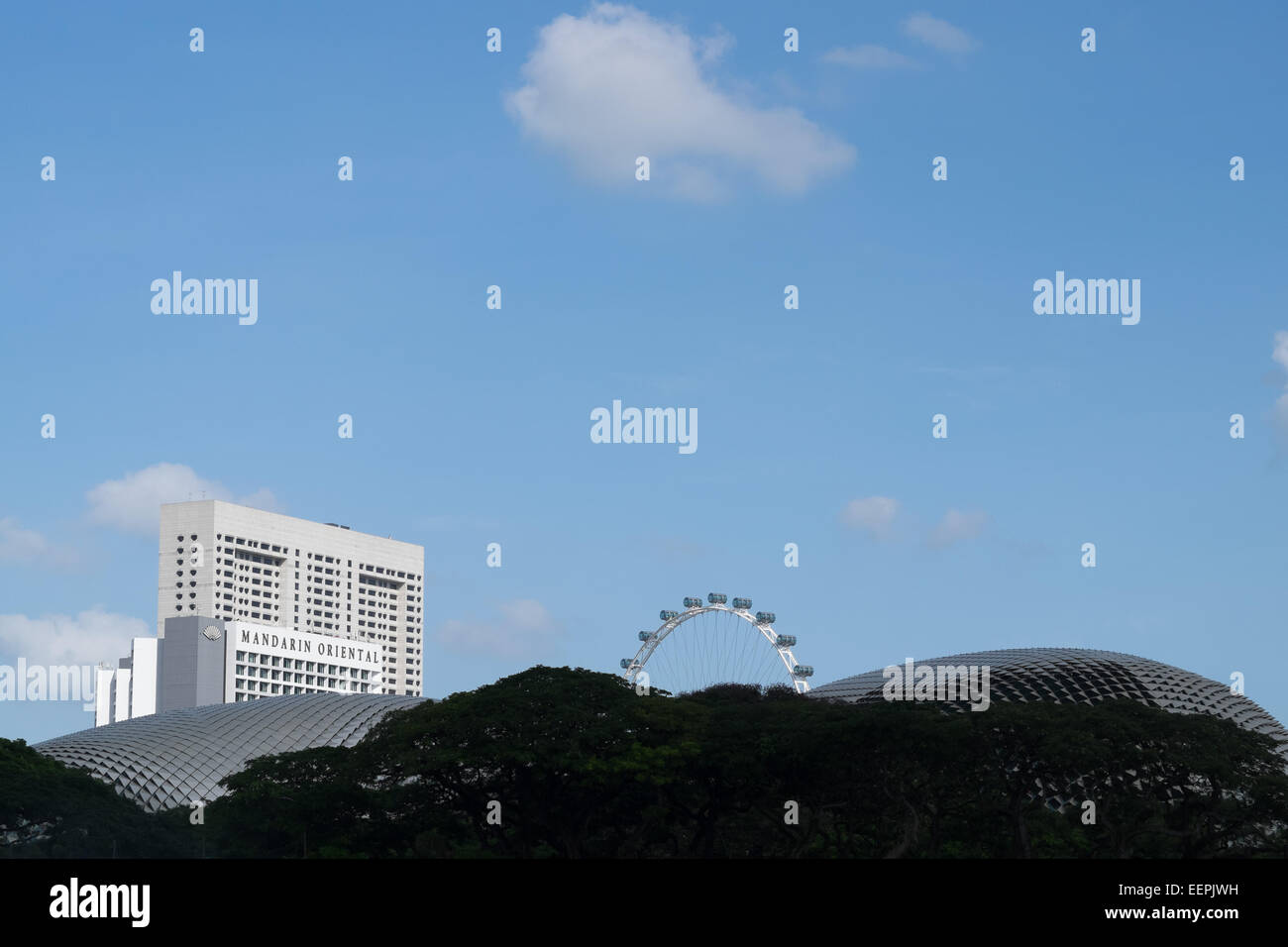 Singapore Flyer. Singapore flier. Grande ruota panoramica Ferris in Singapore. Foto Stock