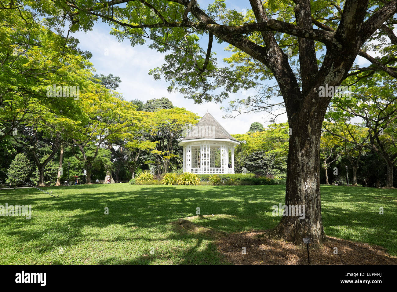 Singapore Botanic Gardens. Foto Stock