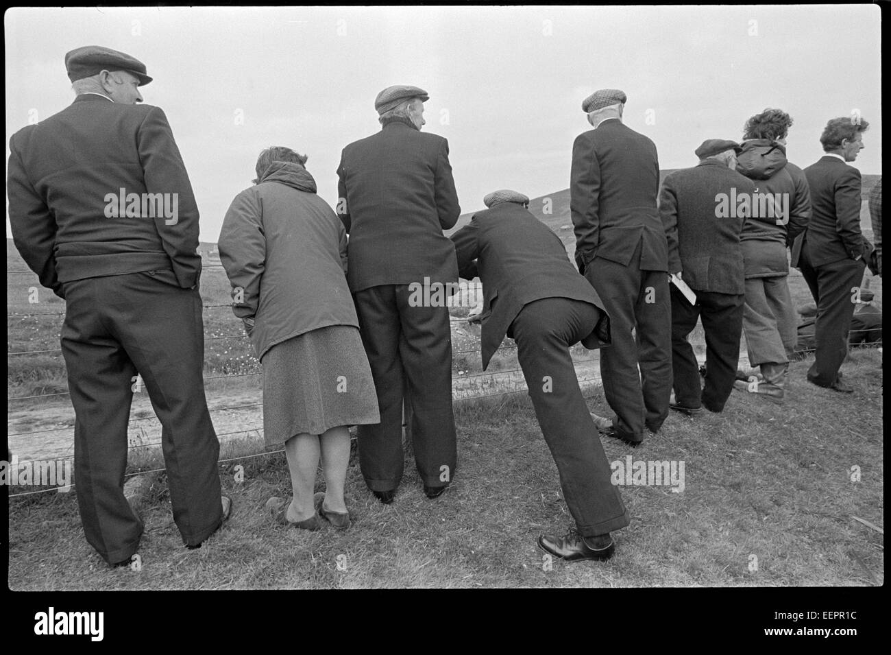 Spettacolo agricolo, Shetland. Foto Stock