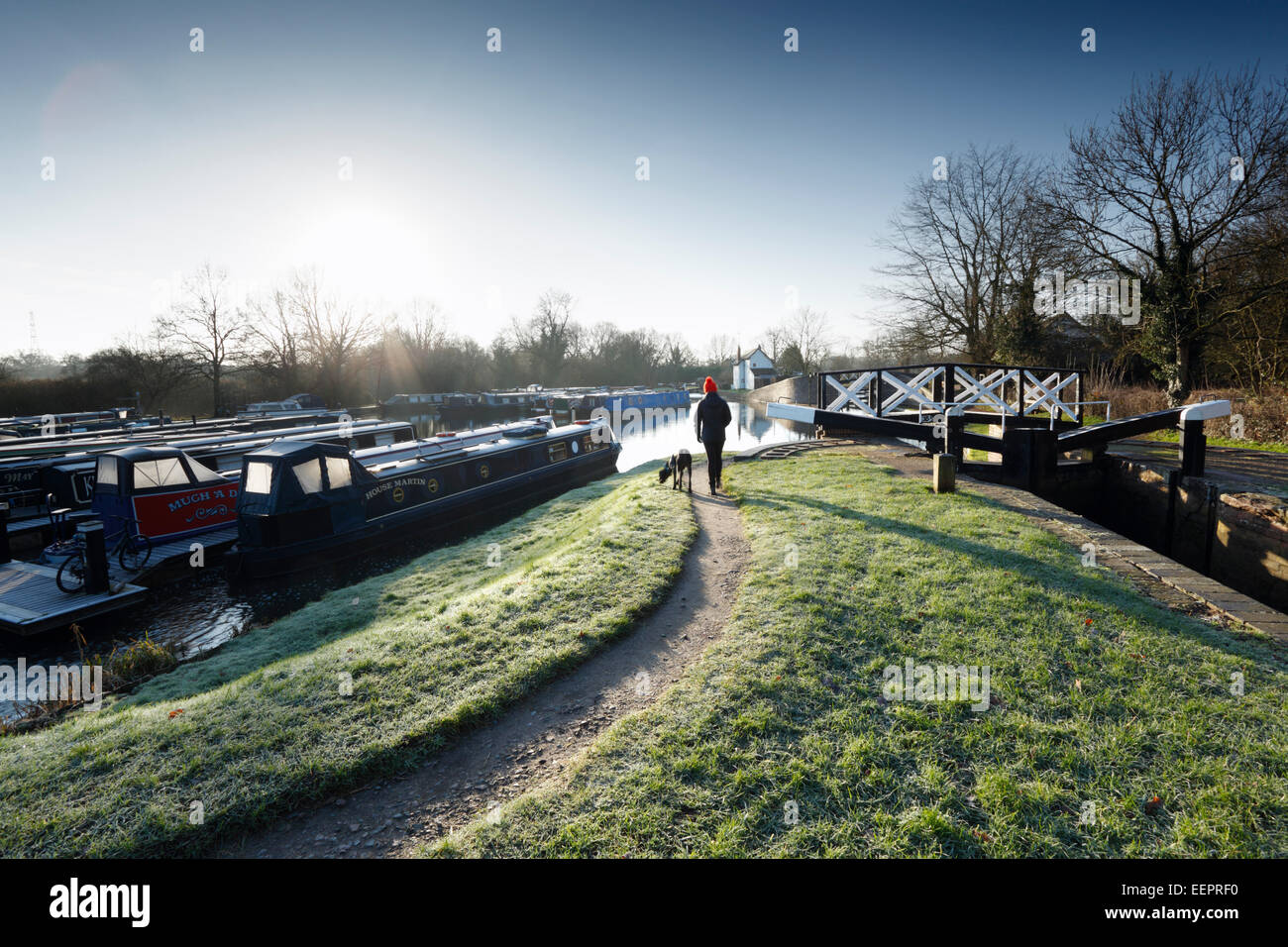Donna che cammina il suo cane a Stratford-upon-Avon Canal incrocio vicino Lapworth. Warwickshire. In Inghilterra. Regno Unito. Foto Stock