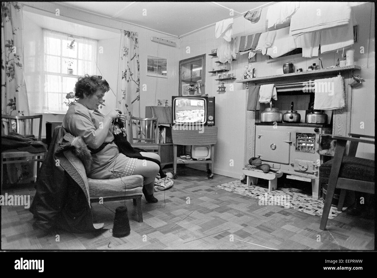 Bertha maglia a casa in Out Skerries. Foto Stock