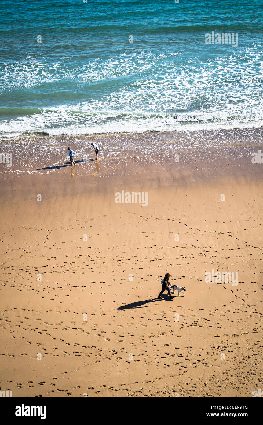 Dog walker su Golden sands in un resort di gallese REGNO UNITO Foto Stock