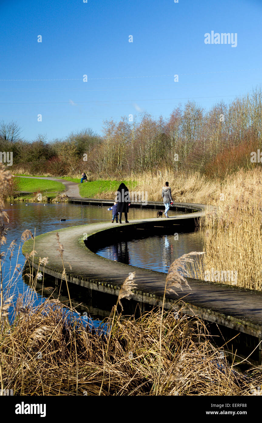 Passerella curvi, Lamby Lago, Tredelerch Park, Lamby modo, Cardiff, Galles del Sud. Foto Stock