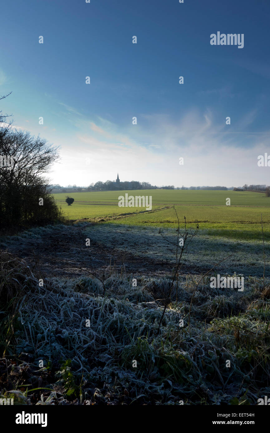 I campi di Norfolk paesaggio rurale Foto Stock