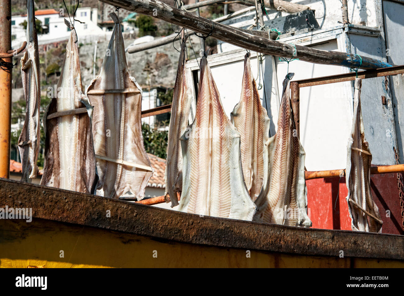 Reisen, Europa, il Portogallo, la Madera; Getrockneter Fisch, Stockfisch, Bacalhau auf einem Fischerboot im Hafen von Camara de Lobos. Foto Stock