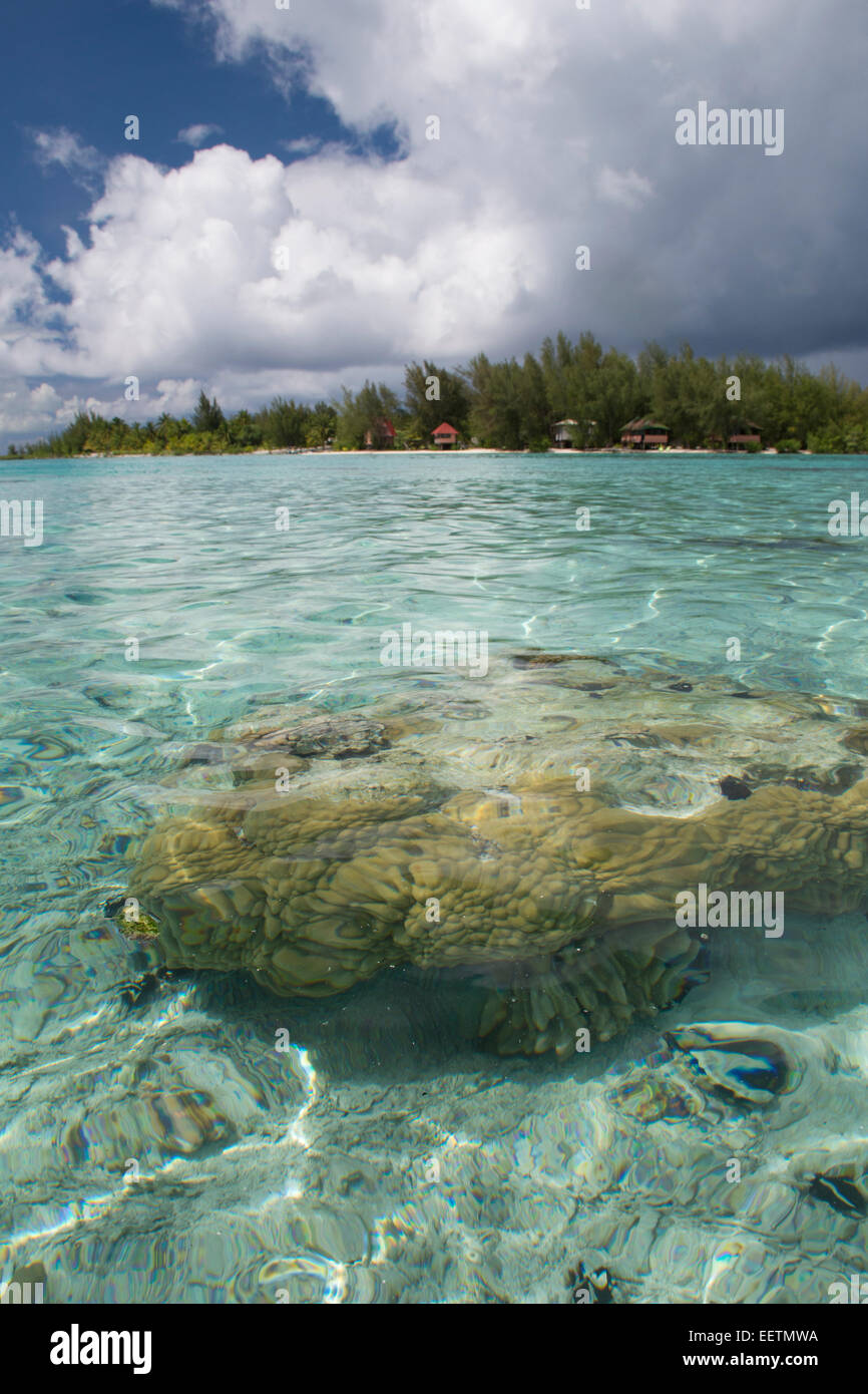 Polinesia francese Isole della Società, Isole Sottovento, Bora Bora. Haapiti, una piccola isola privata, aka motu. Foto Stock