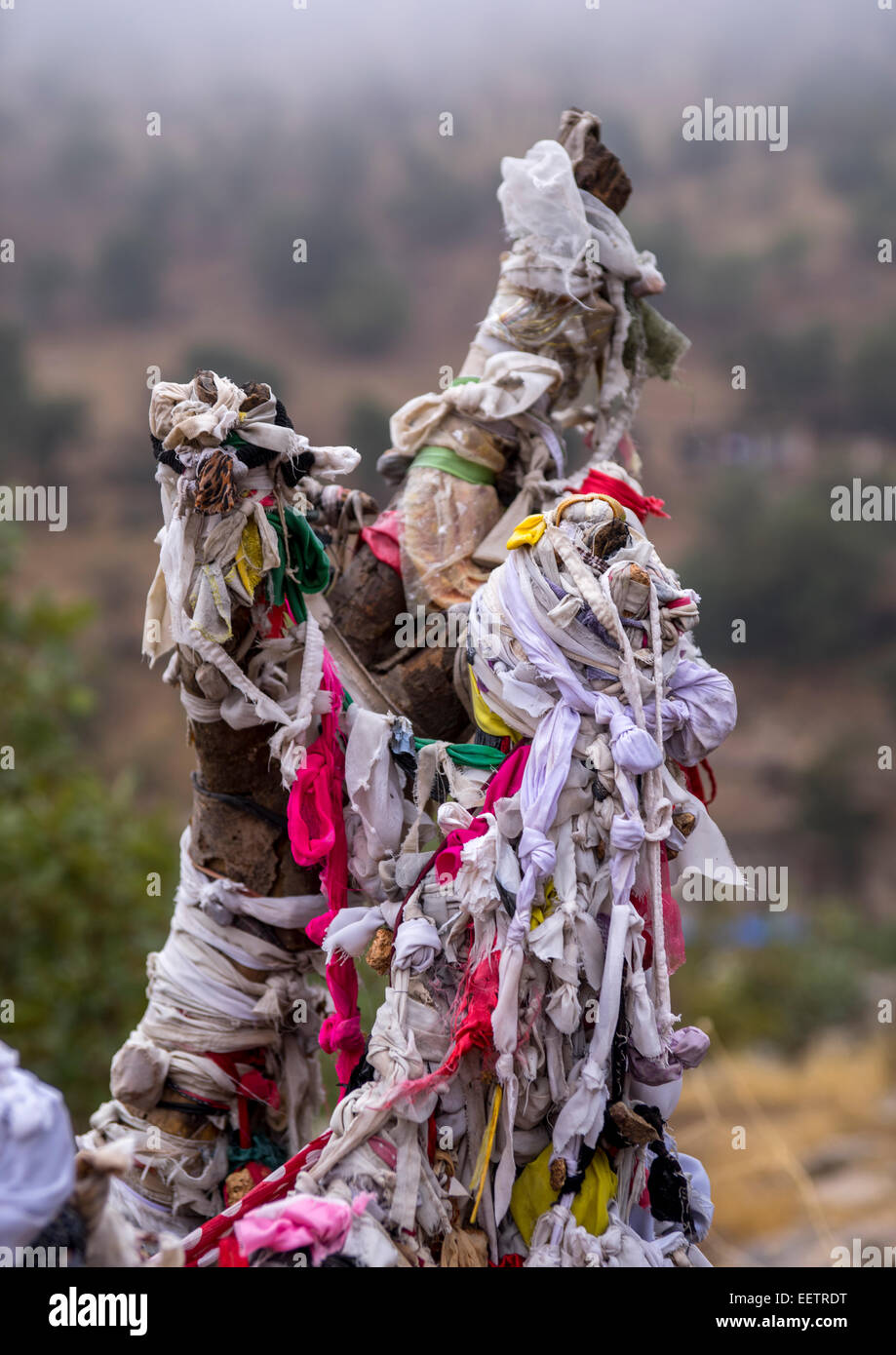 Pezzi di materiale attaccato ai rami da Yezedis su un albero di fertilità, Lalesh tempio, Kurdistan, Iraq Foto Stock