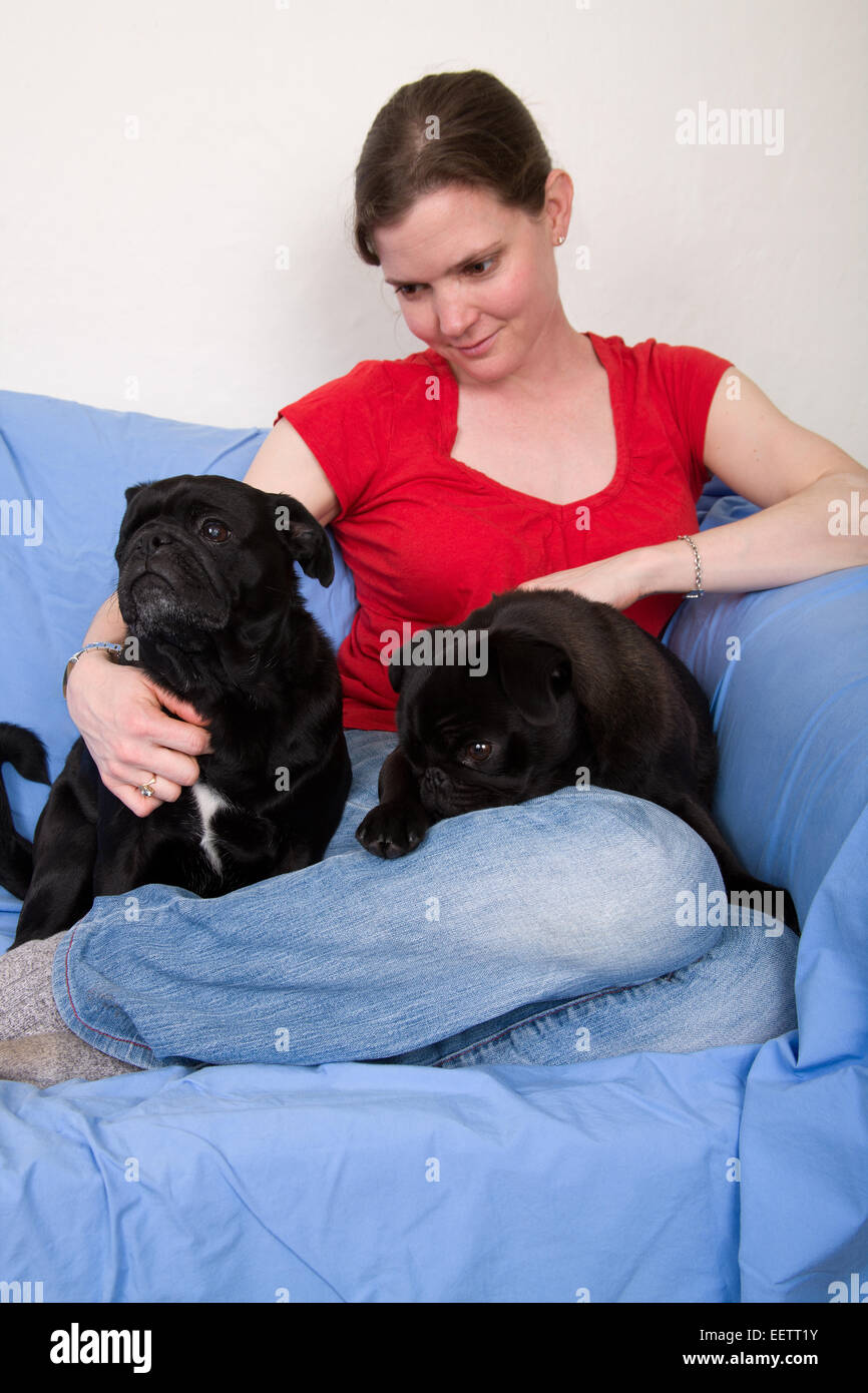 Donna coccole i suoi due Pugs nero seduto su un foglio-coperta lettino nella sua casa di Seattle, Washington, Stati Uniti d'America Foto Stock