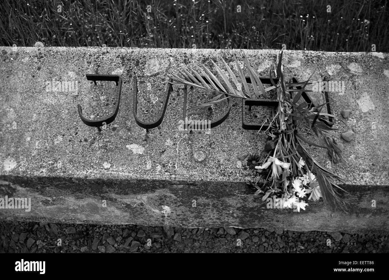 Il Mittelbau-Dora campo di concentramento nazista era situato nella periferia di Nordhausen durante la II Guerra Mondiale per fornire manodopera per la Mittelwerk V-2 a razzo in fabbrica il Kohnstein. Il 3 aprile e il 4 aprile 1945 tre quarti della città fu distrutto dai bombardamenti della Royal Air Force, in cui circa 8.800 persone sono morte, tra cui 1500 prigionieri ammalati al Boelcke Kaserne caserme entro Nordhausen.[2] in precedenza su agosto 24, 1944, 11 B-17 Flying fortezze della missione 568 ha bombardato il campo di aviazione a Nordhausen come un bersaglio di opportunità.[3] Il 11 aprile 1945, gli americani hanno occupato la città e sulla Foto Stock