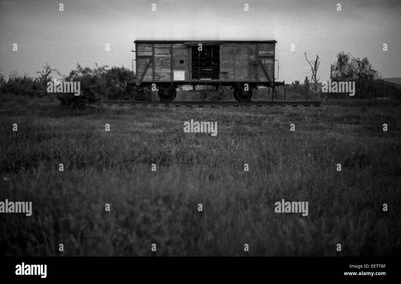 Il Mittelbau-Dora campo di concentramento nazista era situato nella periferia di Nordhausen durante la II Guerra Mondiale per fornire manodopera per la Mittelwerk V-2 a razzo in fabbrica il Kohnstein. Il 3 aprile e il 4 aprile 1945 tre quarti della città fu distrutto dai bombardamenti della Royal Air Force, in cui circa 8.800 persone sono morte, tra cui 1500 prigionieri ammalati al Boelcke Kaserne caserme entro Nordhausen.[2] in precedenza su agosto 24, 1944, 11 B-17 Flying fortezze della missione 568 ha bombardato il campo di aviazione a Nordhausen come un bersaglio di opportunità.[3] Il 11 aprile 1945, gli americani hanno occupato la città e sulla Foto Stock