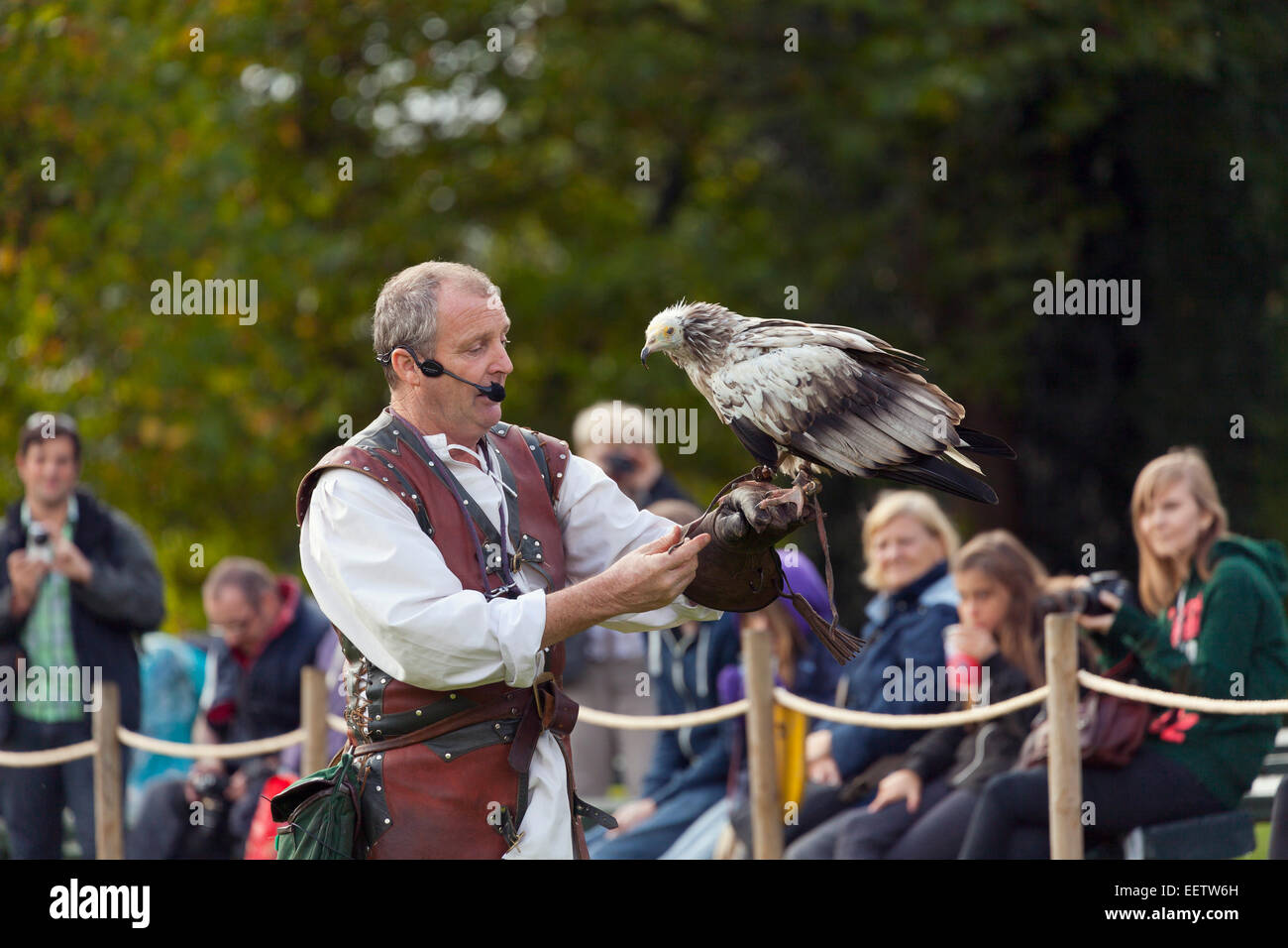 Gli uccelli rapaci visualizzare presso il Castello di Warwick Foto Stock