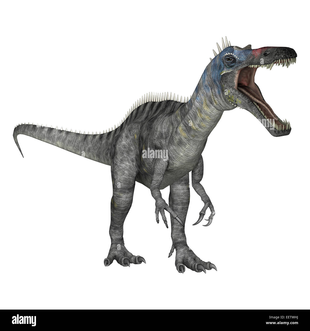 3D render digitale di un dinosauro Suchomimus o Suchomimus tenerensis isolati su sfondo bianco Foto Stock