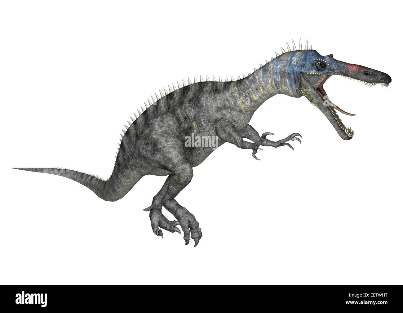 3D render digitale di un caccia Suchomimus dinosauri o Suchomimus tenerensis isolati su sfondo bianco Foto Stock
