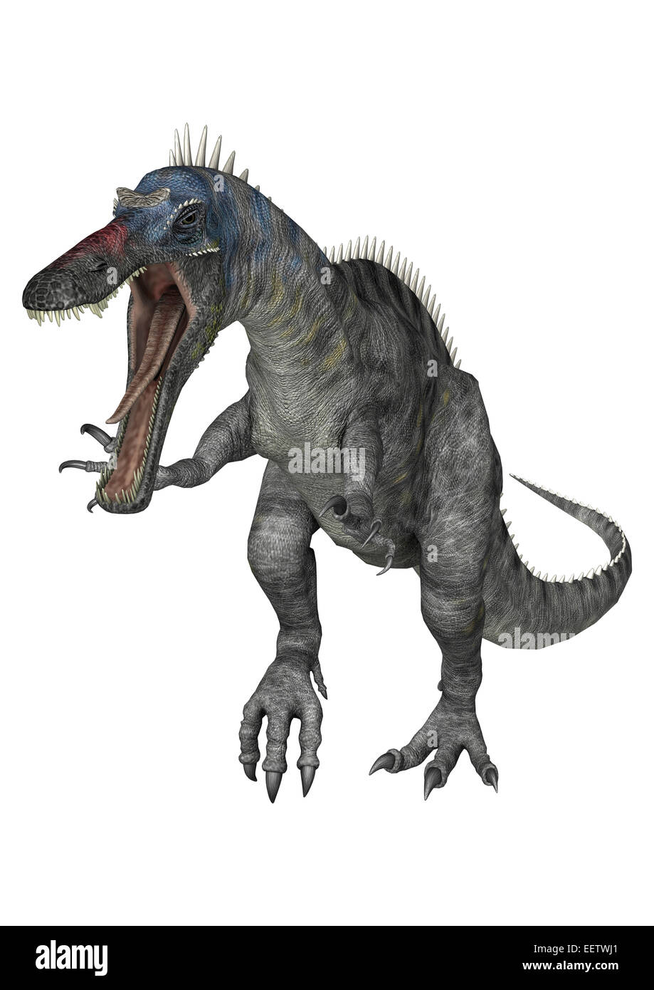 3D render digitale di un caccia Suchomimus dinosauri o Suchomimus tenerensis isolati su sfondo bianco Foto Stock