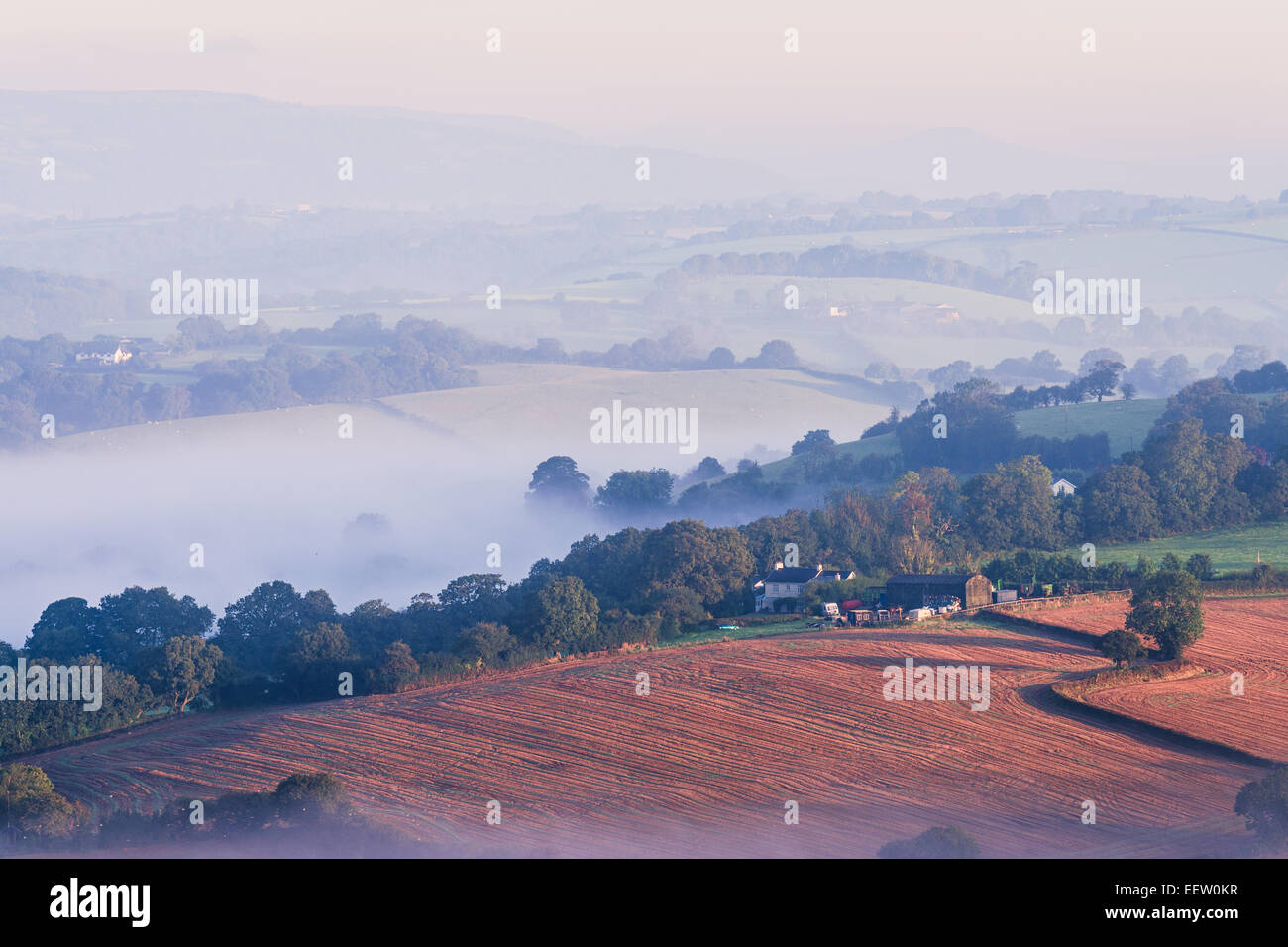 I terreni agricoli in condizioni di nebbia nel Galles del Sud, Regno Unito. Foto Stock