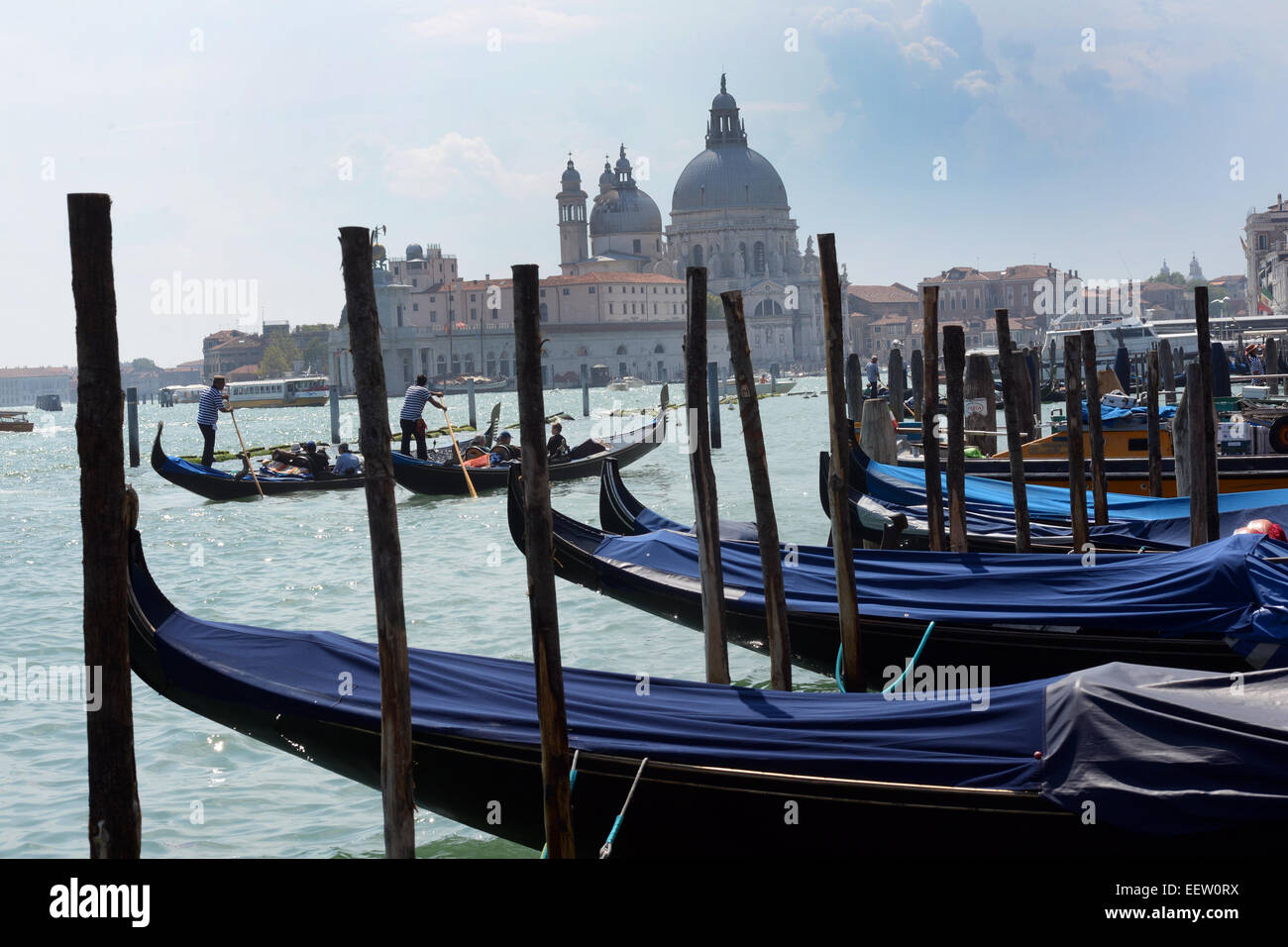 Le gondole del Canal Grande Venezia Italia. Foto Stock