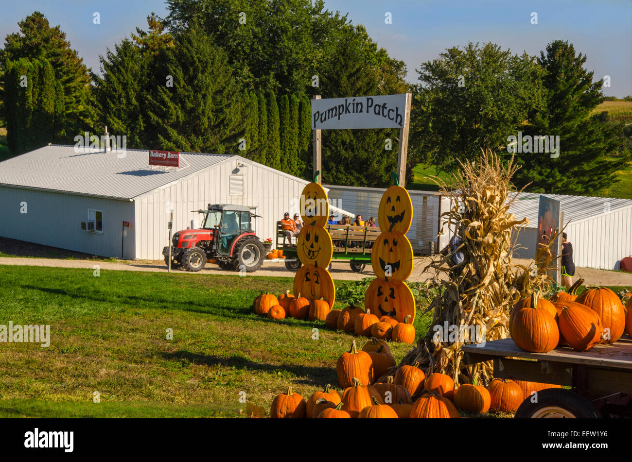 Zucche in vendita presso Shihata di Orchard e Apple vicino casa Prairie du Chien, Wisconsin Foto Stock