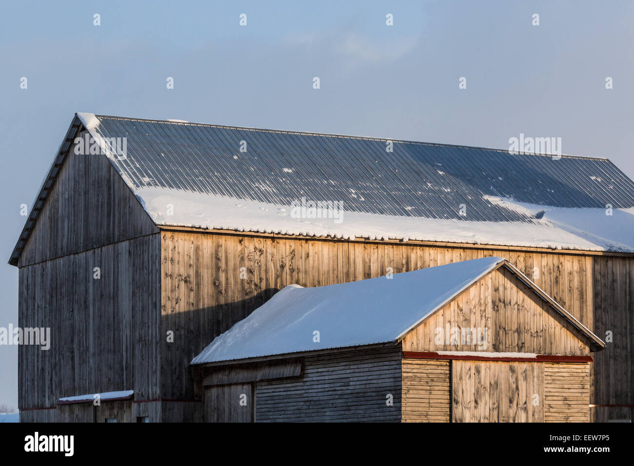 Fienile Amish in Mecosta County vicino Big Rapids e Stanwood, Michigan, Stati Uniti d'America Foto Stock